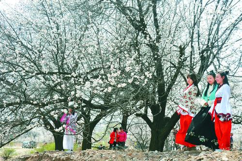 天游线路检测中心仪表盘